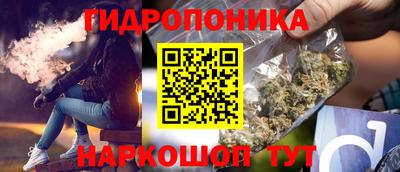 прущие грибы Обь