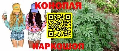 прущие грибы Обь