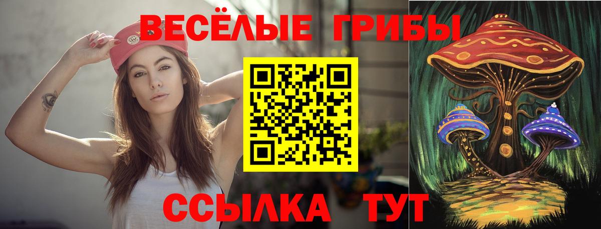 Псилоцибиновые грибы прущие грибы Урай